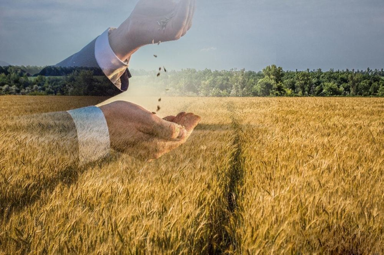 Latıfýndısterdi azaıtamyz ba, álde kóbeıtemiz be?