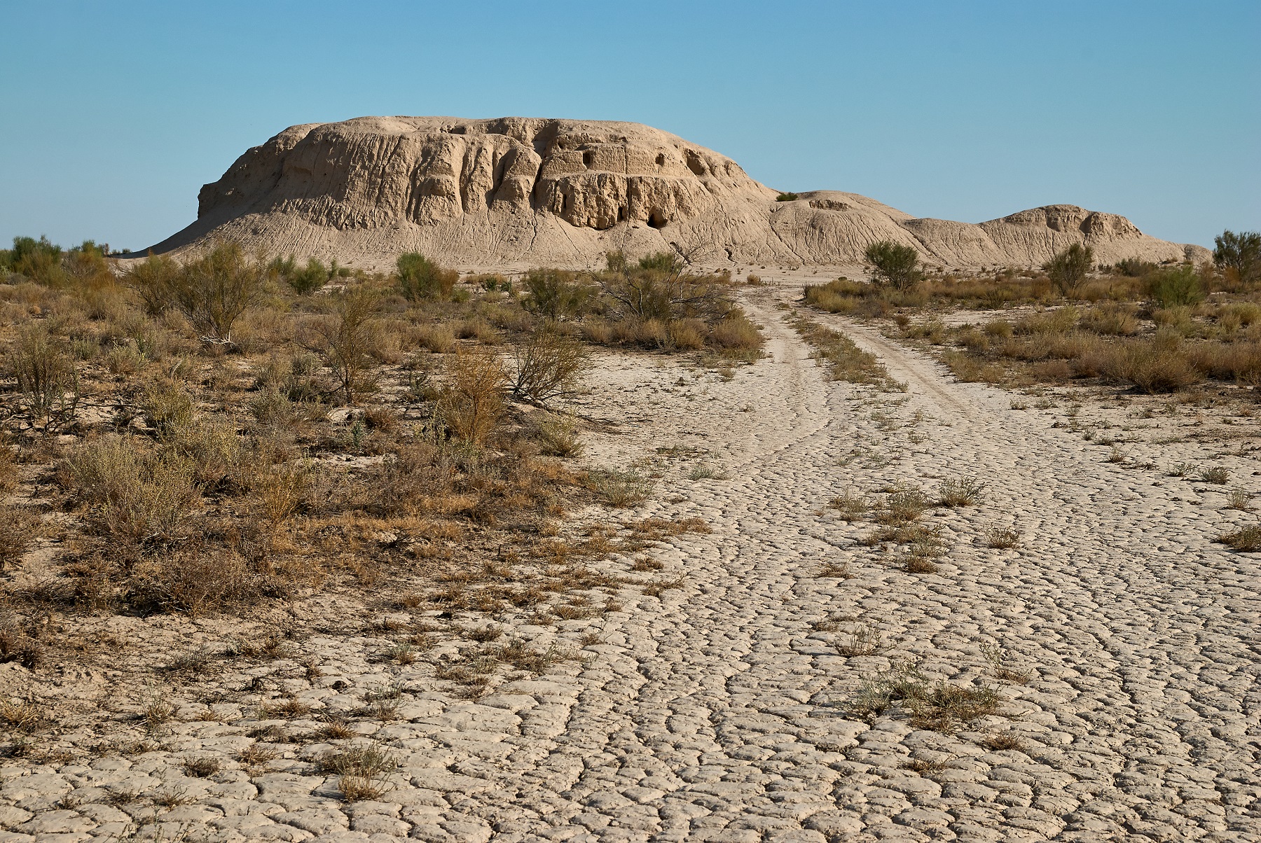 Jerdiń shóleıttenýi – ózekti másele