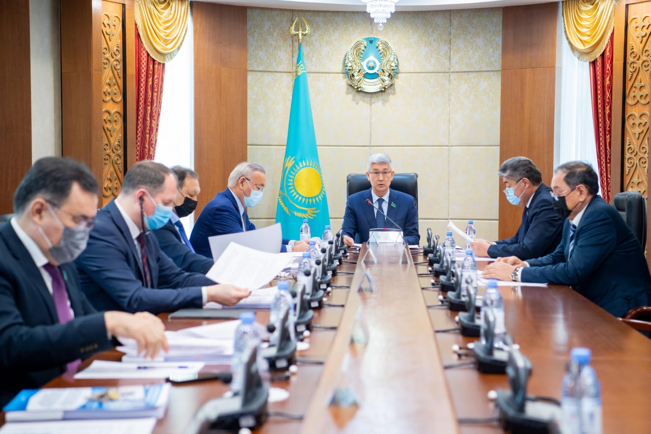 Senatta syrtqy nesıelerdi tıimdi paıdalaný máselesi talqylandy