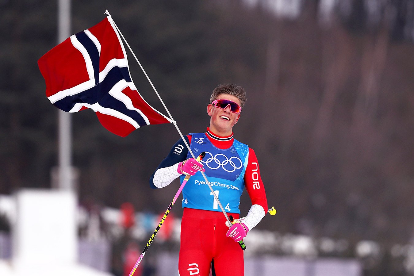 Norvegııa des berer emes