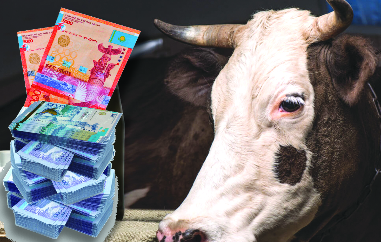 Joq maldy sýbsıdııalaǵan