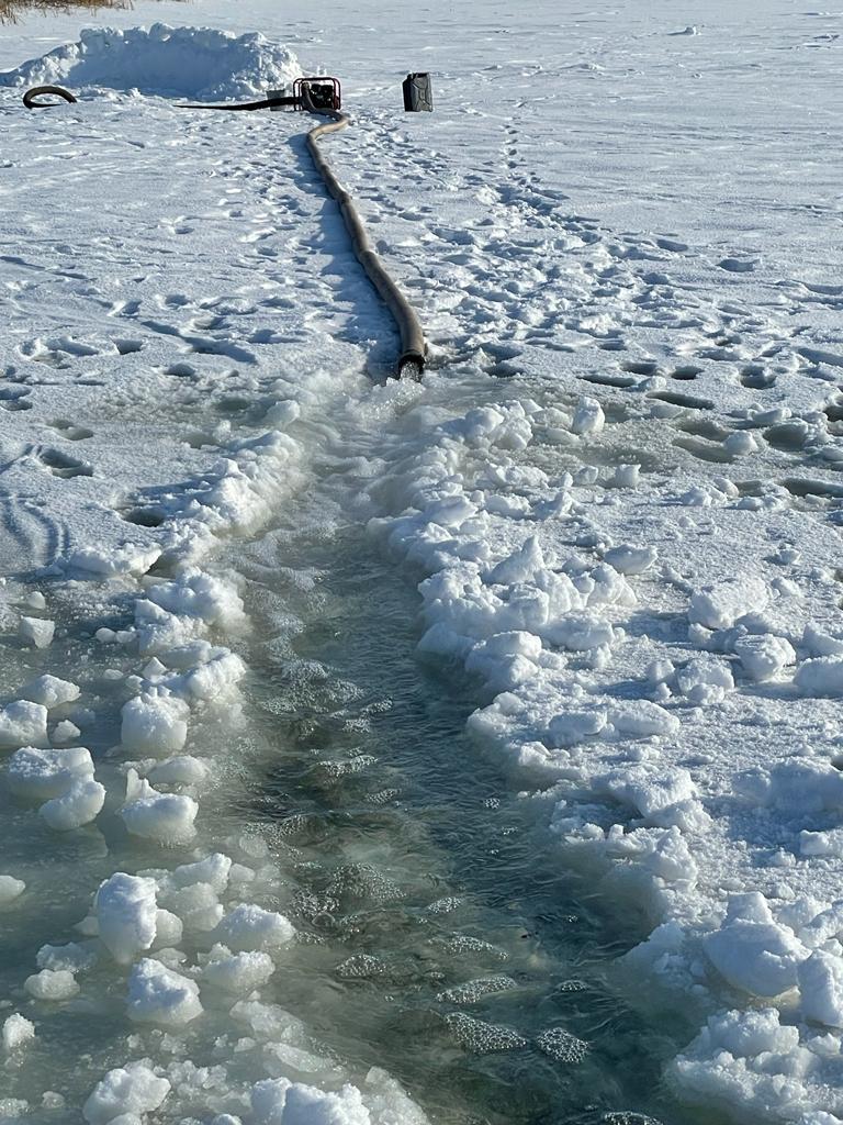 Balyqqa kelgen náýbet