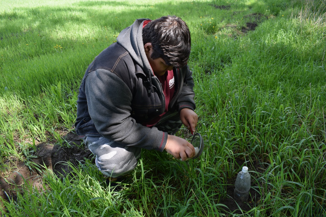 Dala atyrabyn zerttep júr