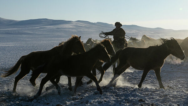 Jaza kúsheıse de, mal urlyǵy órship tur
