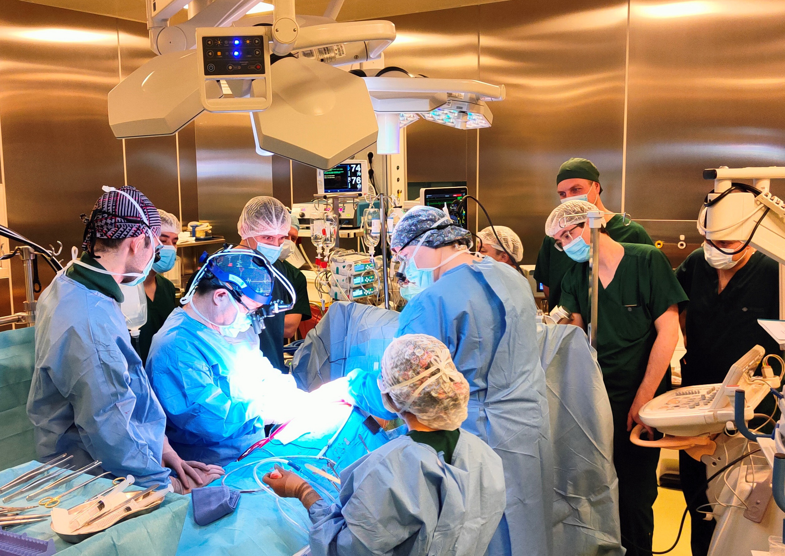 Dárigerler LVAD ımplantasııasy boıynsha sheberlik kórsetti