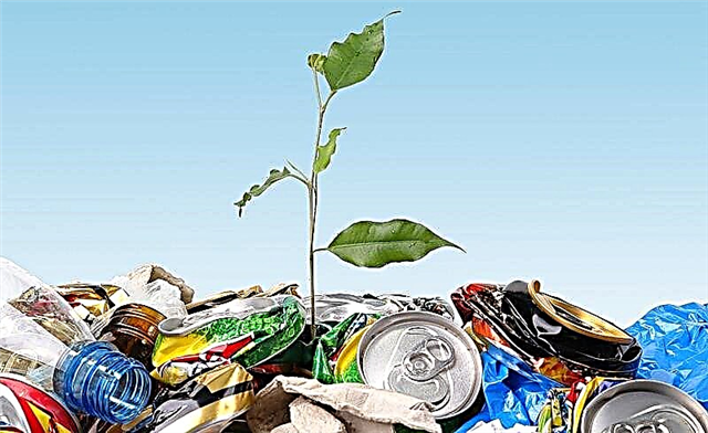 Qaldyqtar arqyly qalypty ómirge oralýda