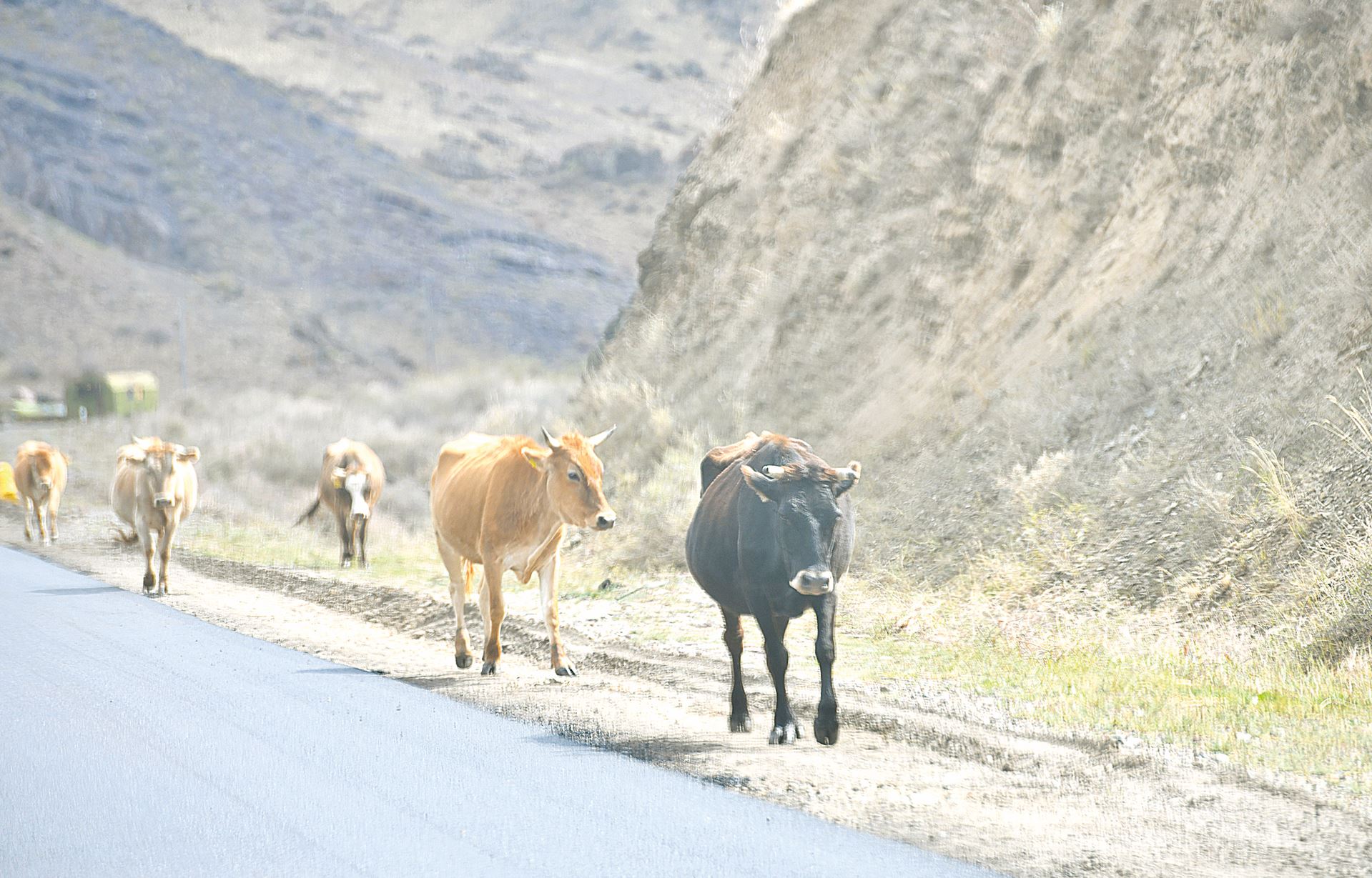 Jaıylym kólemi ulǵaıdy