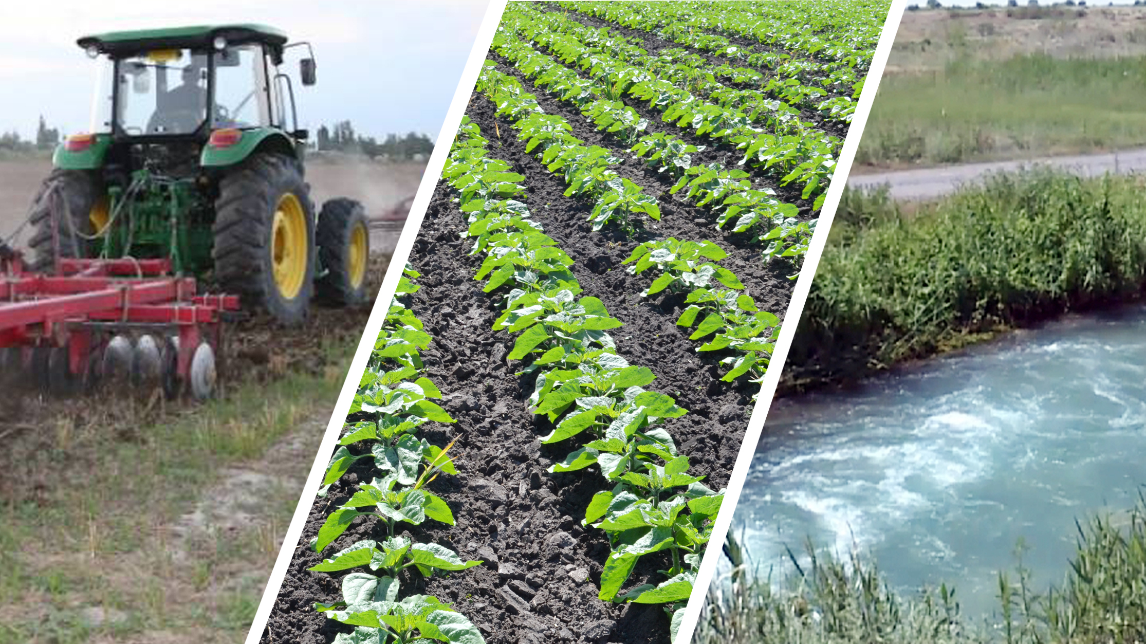 Kúrdeli máseleler kún tártibinen túspeıdi