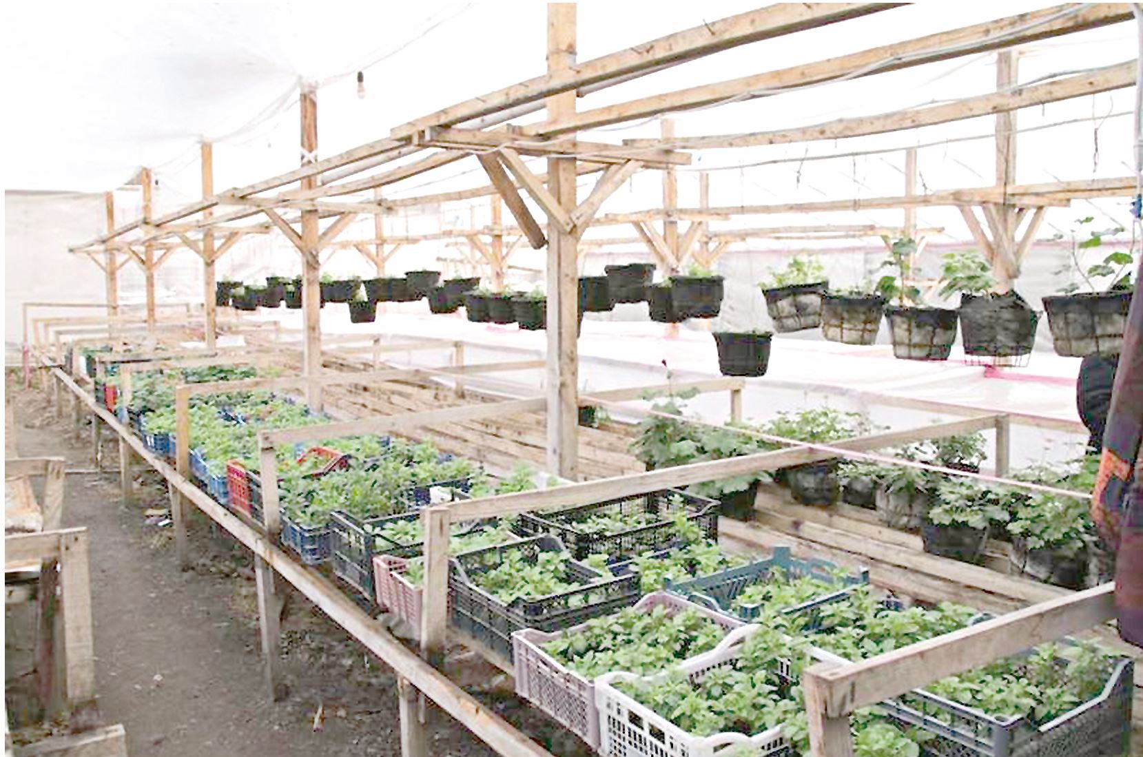 Eńbegi janǵan erekshe jandar