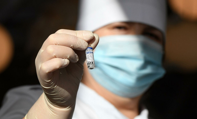 Aýrý báseńdep keledi