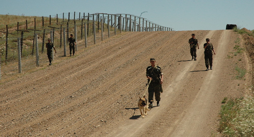 Shekara shebine nazar aýdarý qajet