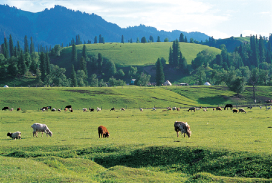 Jaıylymdyq jer tapshylyǵy bolmaýǵa tıis