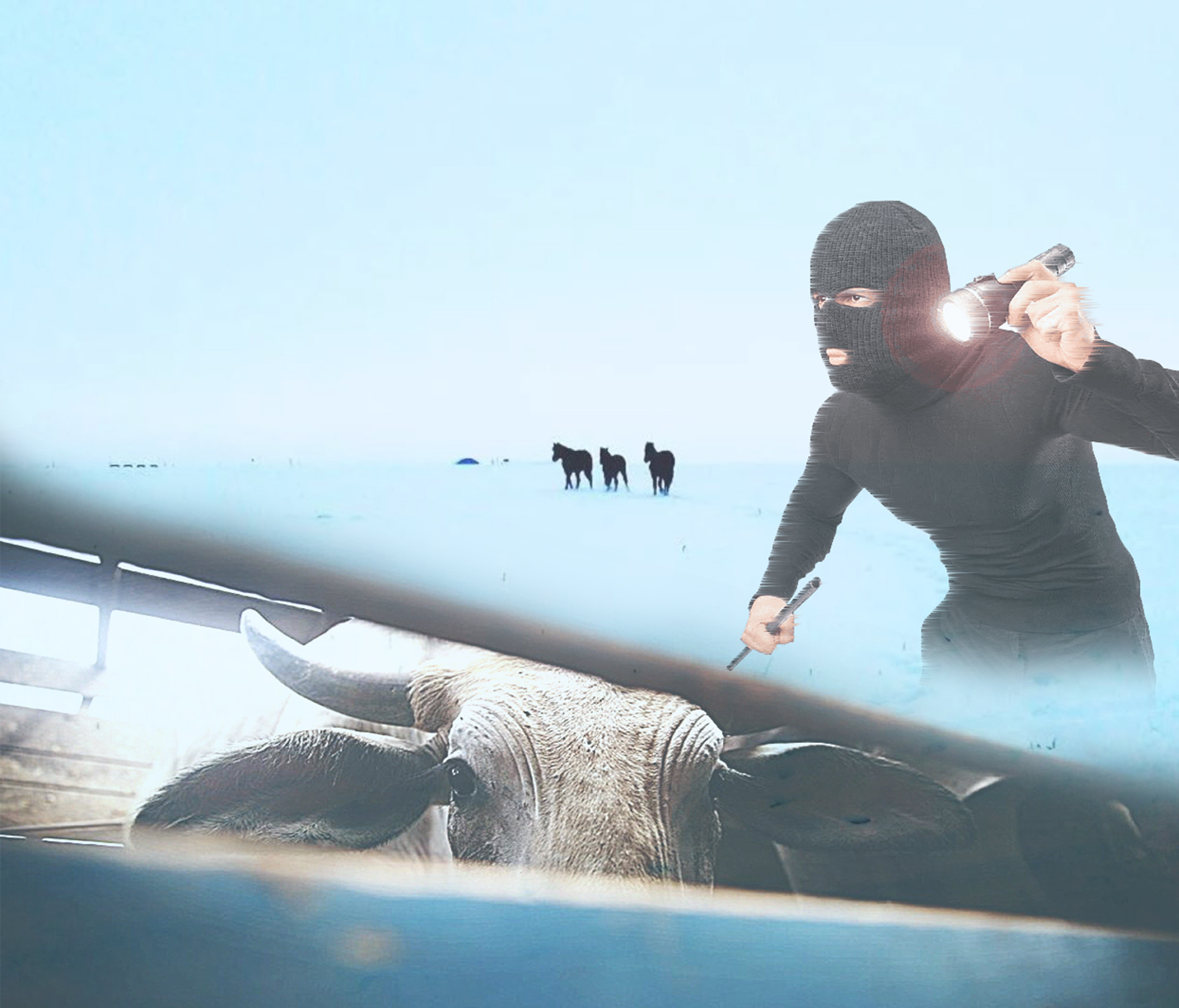 Mal urlyǵyna qarsy sharalar udaıy júrgizilip keledi