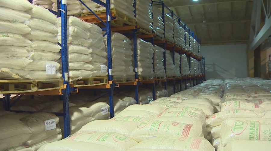 Qant tapshylyǵy joıylady