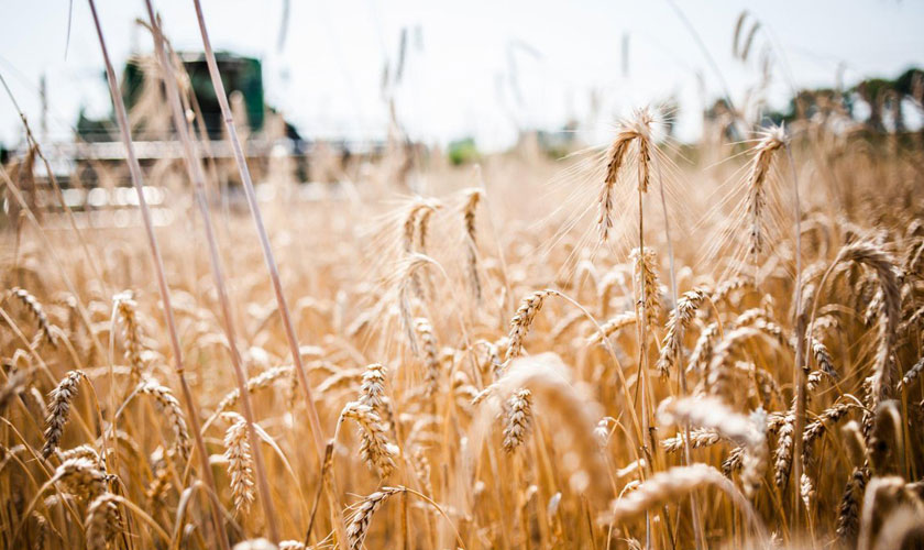 Prezıdent Joldaýy agrokeshendi damytýǵa serpin beredi