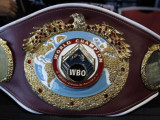 WBO beldigine talasady