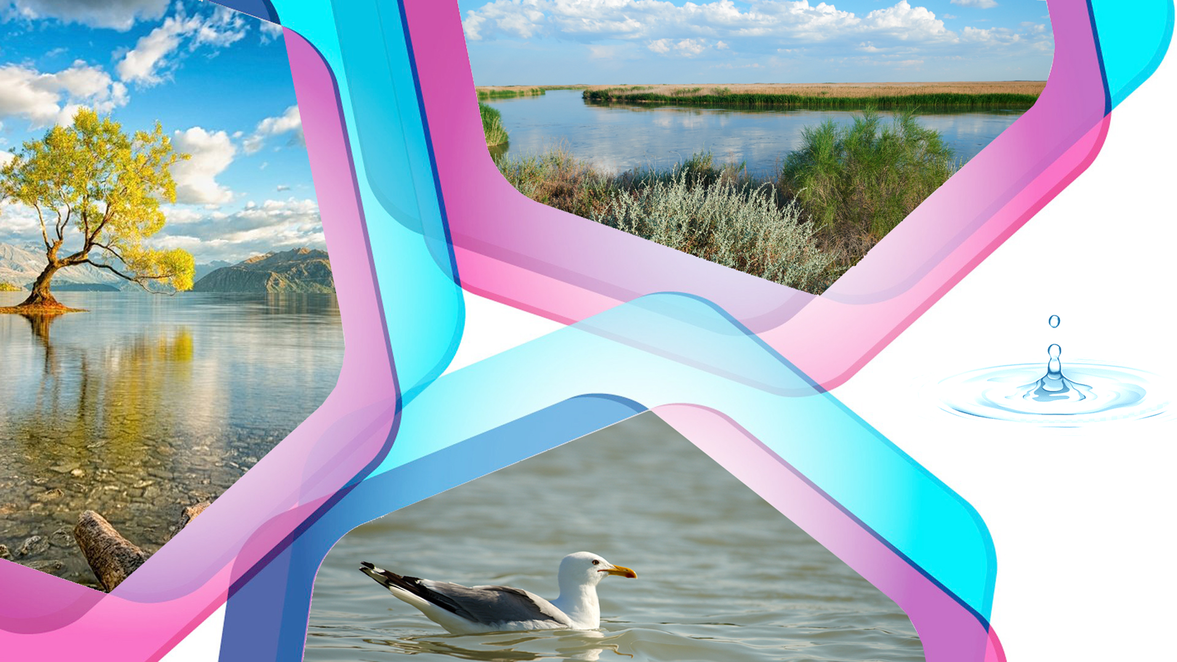 Apatty «qoldan jasap» almasaq ıgi