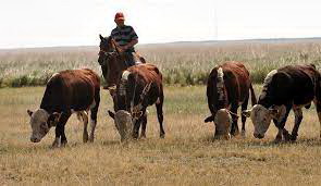 Mal baqqanǵa bap kerek