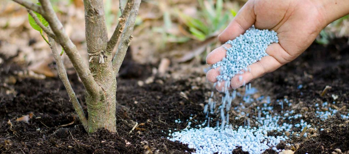 Tyńaıtqyshtan taryqpaımyz ba?