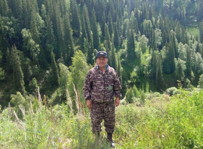 Orman qorǵaý da ońaı sharýa emes