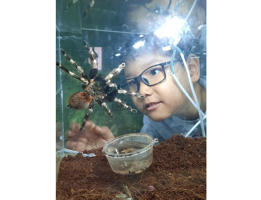 О́rmekshiniń ómiri