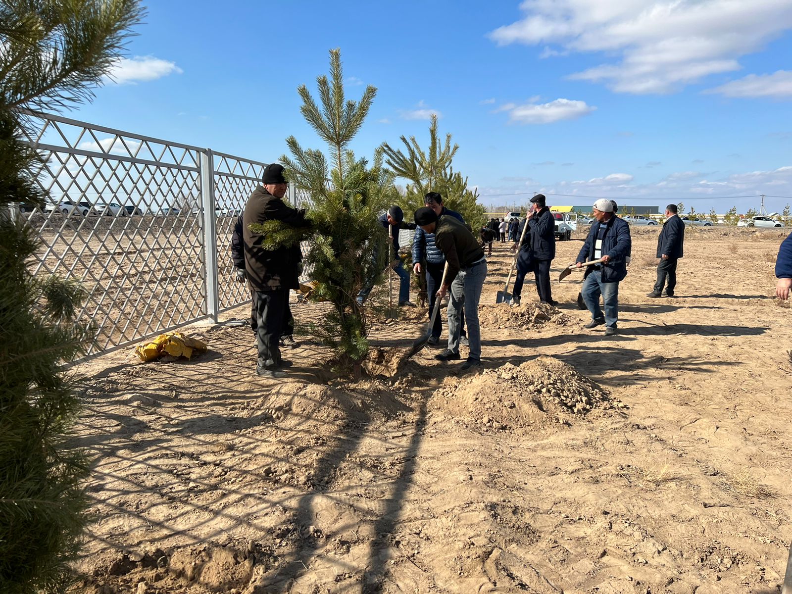 «Assambleıa jastary» aǵash kóshetterin otyrǵyzdy