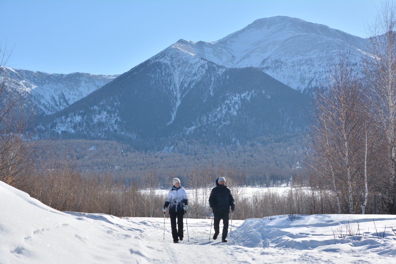 «Skandınavııalyq  serýen» – sergektik kepili