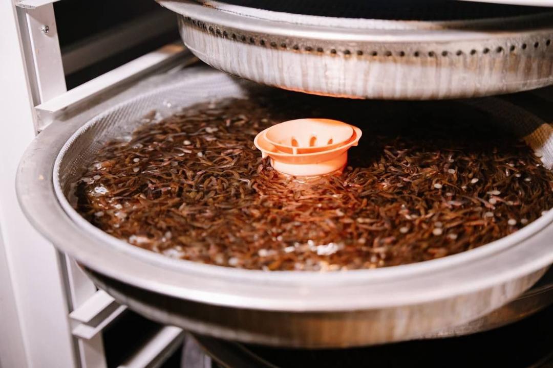 Balyq ósirgenniń baılyǵy kól-kósir