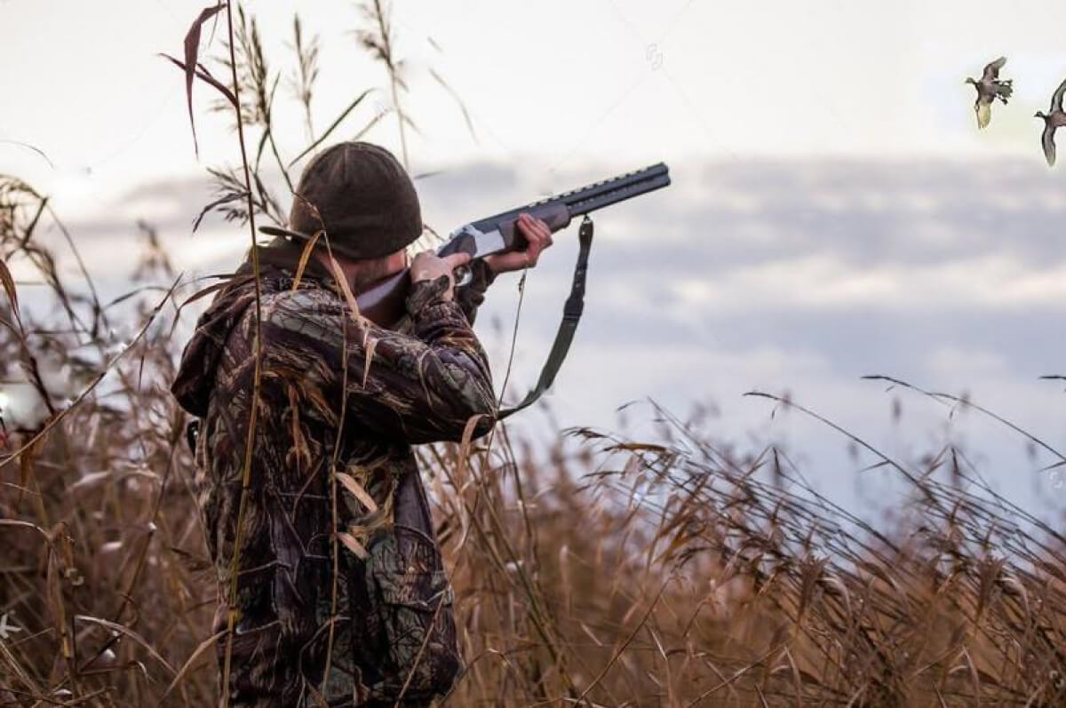 «Gıtlerdiń qaldyǵy...»