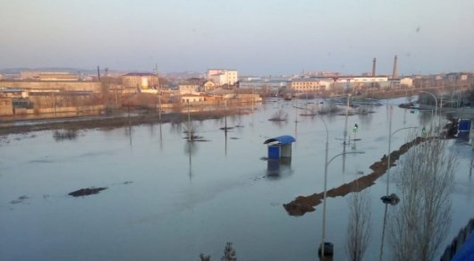 Kókshege kóktem keldi qaýpin ertip