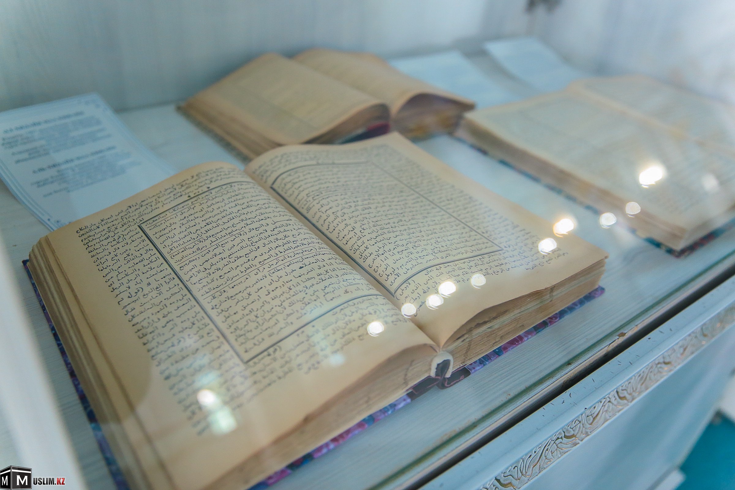 Qoljazbalar men sırek kitaptar tanystyryldy