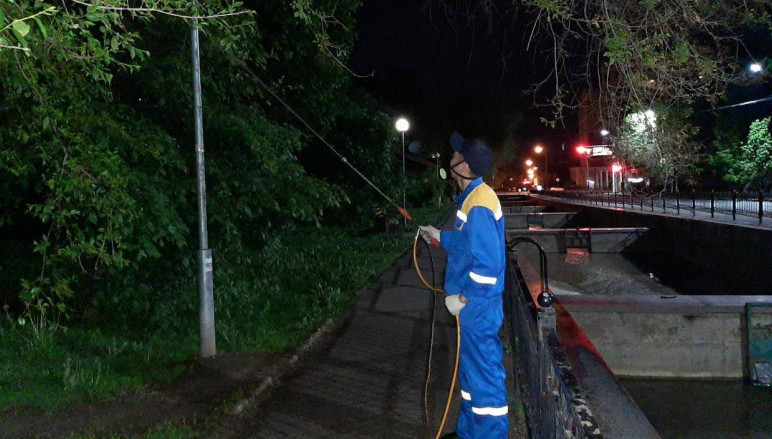 Almatyda jasyl jelekterdi zalalsyzdandyrý jumystary bastaldy