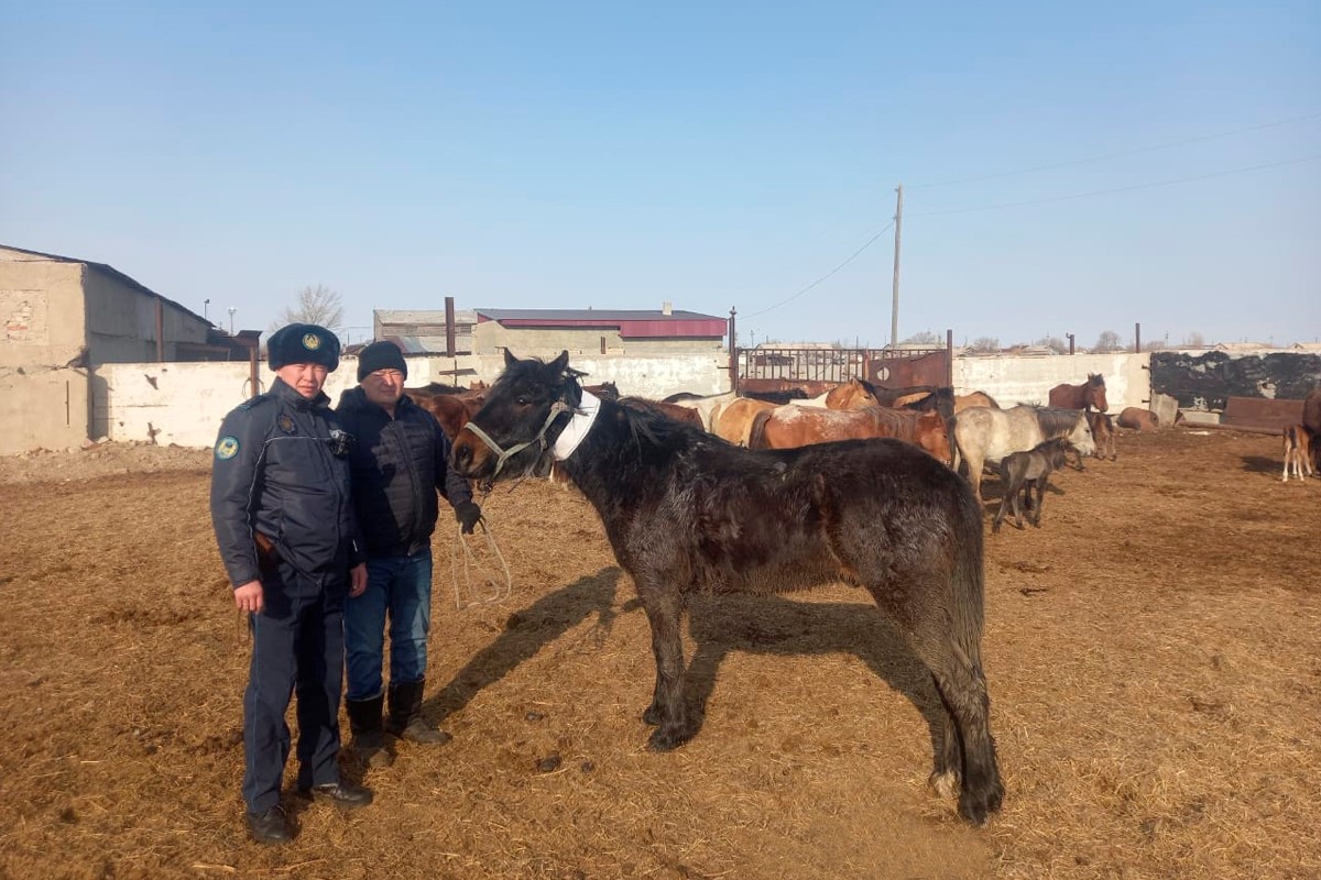GPS-trekerlerdiń kómegi kóp