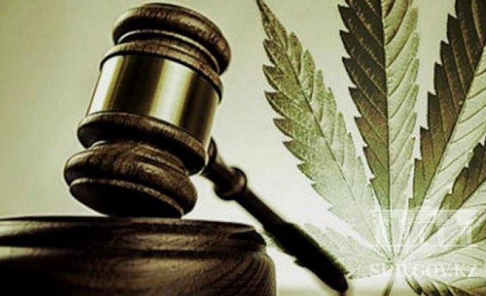 ShQO turǵynynan marıhýana tárkilendi