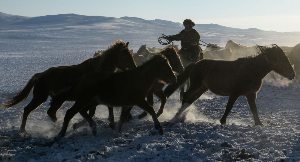 Uqypsyzdyń maly uryǵa jem