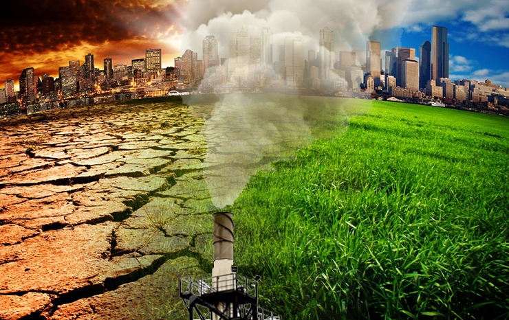 Ornıtolog ǵalymdar bas qosty