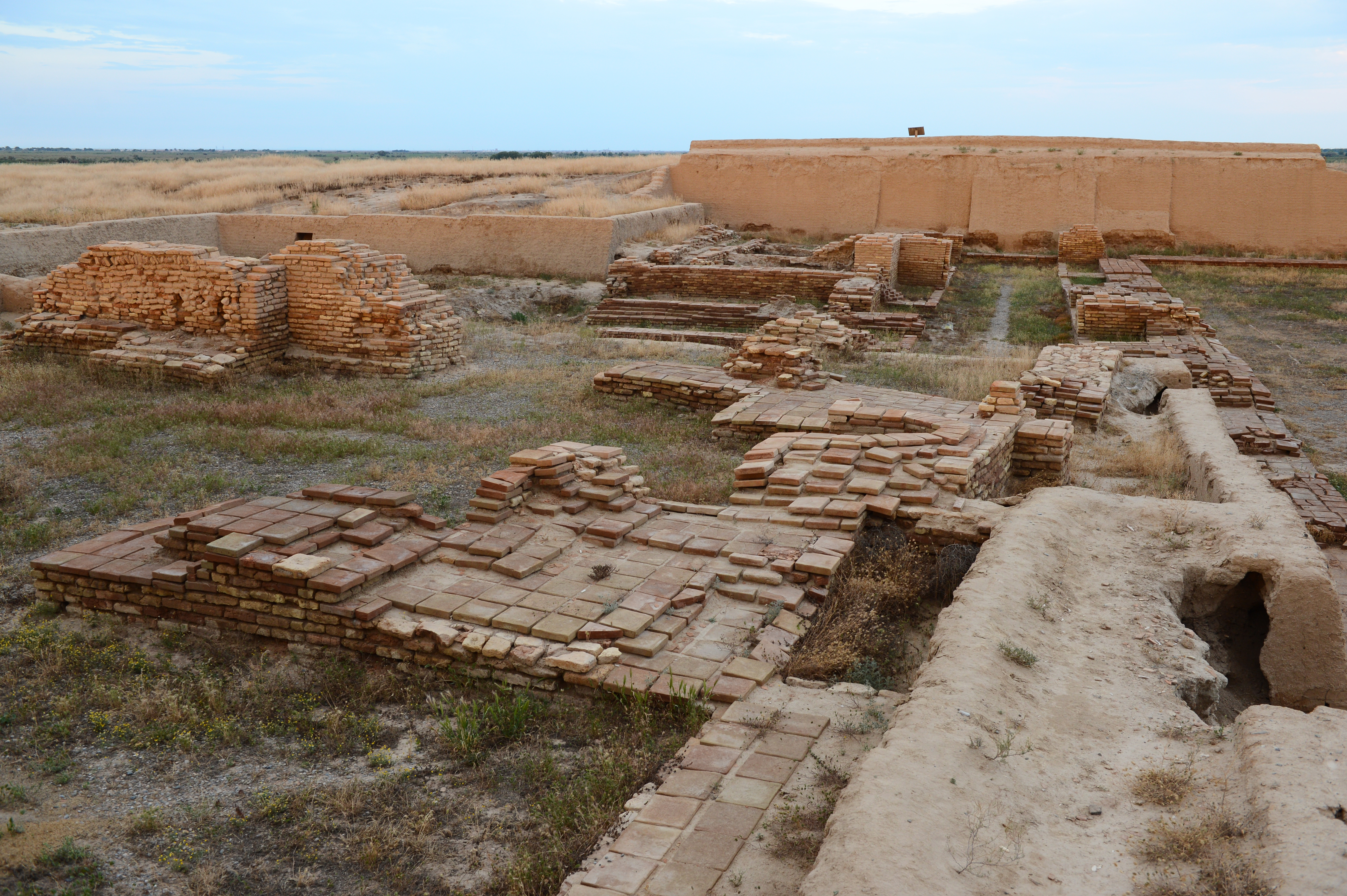 Otyrarǵa arasha túsken