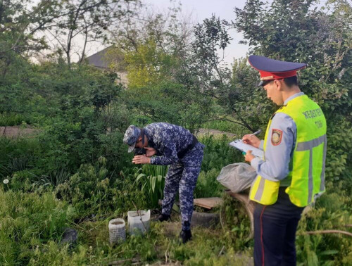 Túrkistan oblysynyń turǵyny aýlasynda sora ósirgen