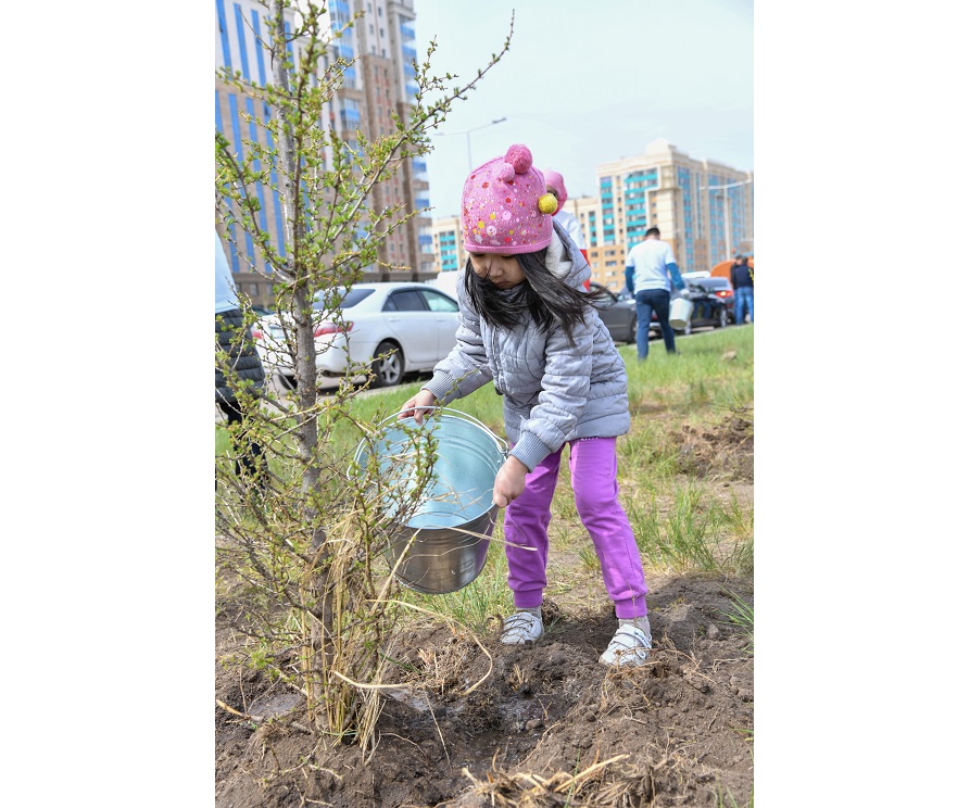 Kóshet kóktese, kóptiń ıgiligi