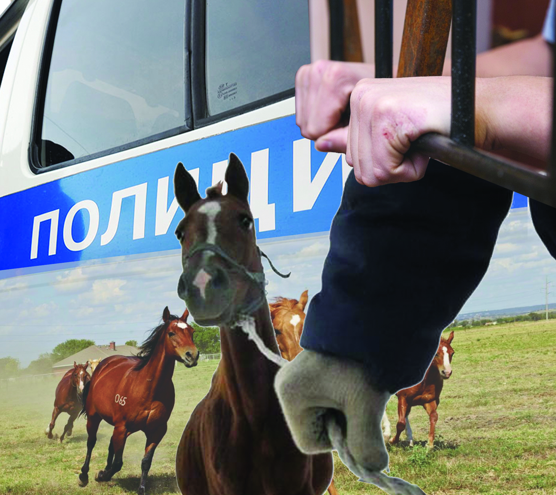 Tórt túligin tanymaıtyndar da bar