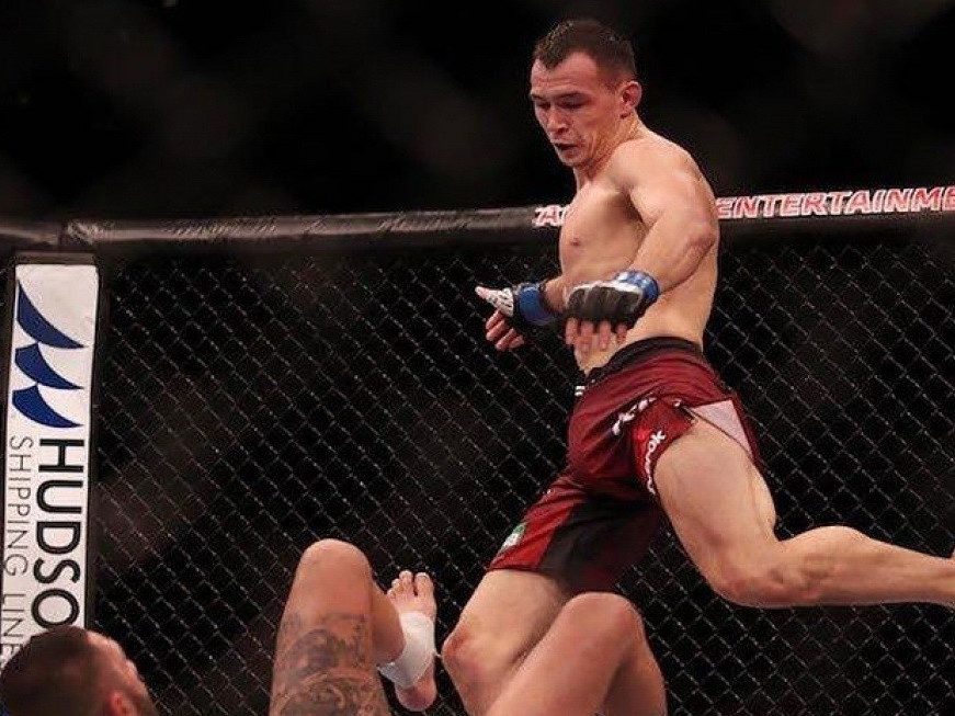 Kelesi qarsylasy – shvesııalyq