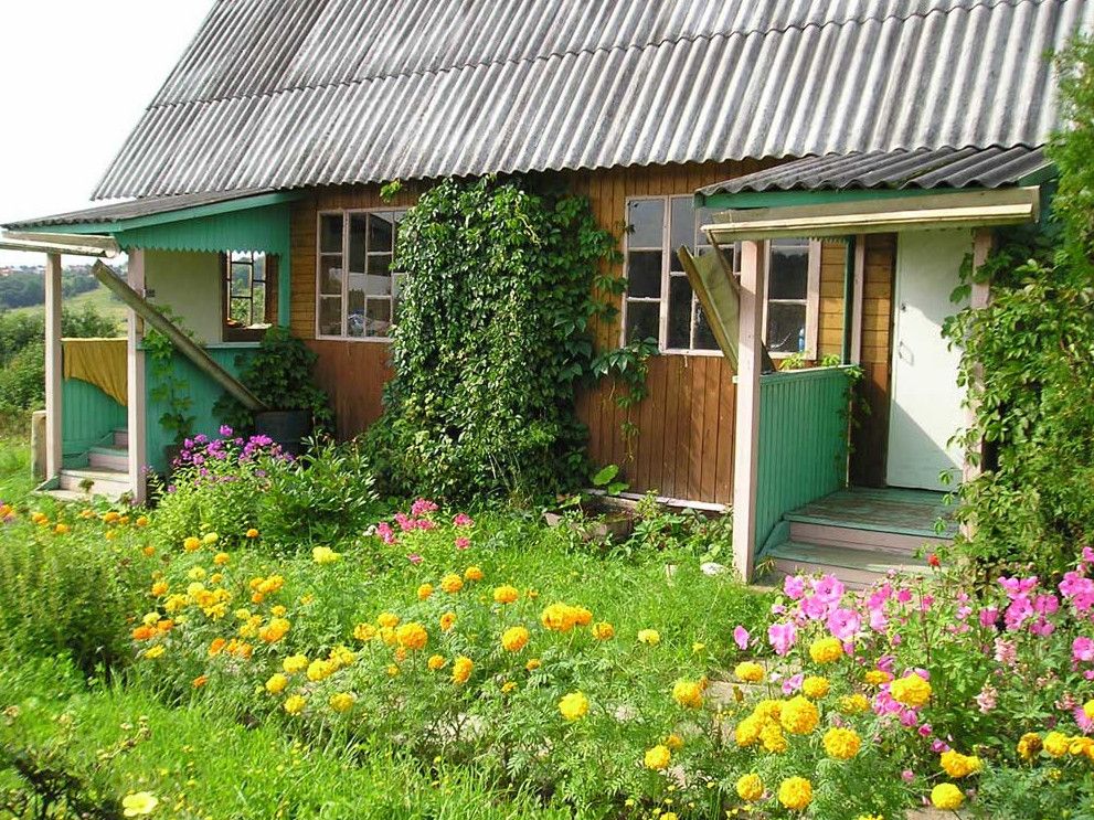 Saıajaıy bardyń sybaǵasy mol