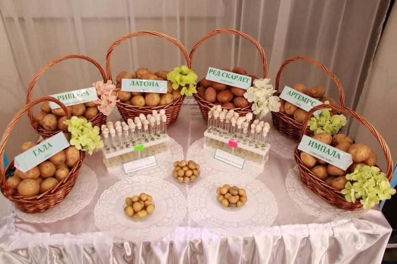 Agrotehnologııa úmitti aqtaıdy