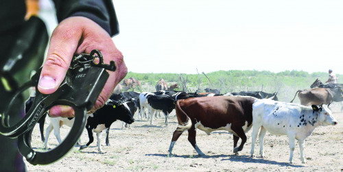 Mal óristen kóp urlanady