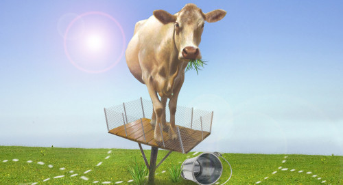 Jaıylym máselesi qalaı sheshiledi?