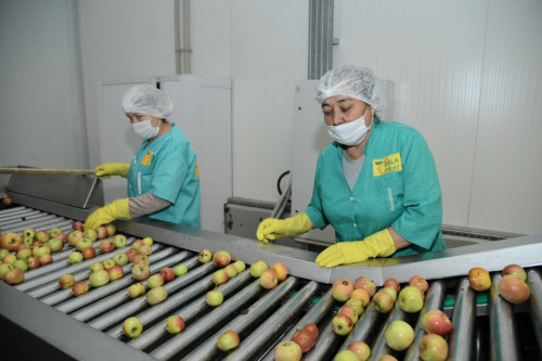 «Egisten sórege deıin»  jobasy aıasynda otandyq ónimniń órisi keńeıedi