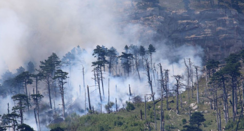 Qazaqstan ormandarynda 167 myń gektar jer órtengen