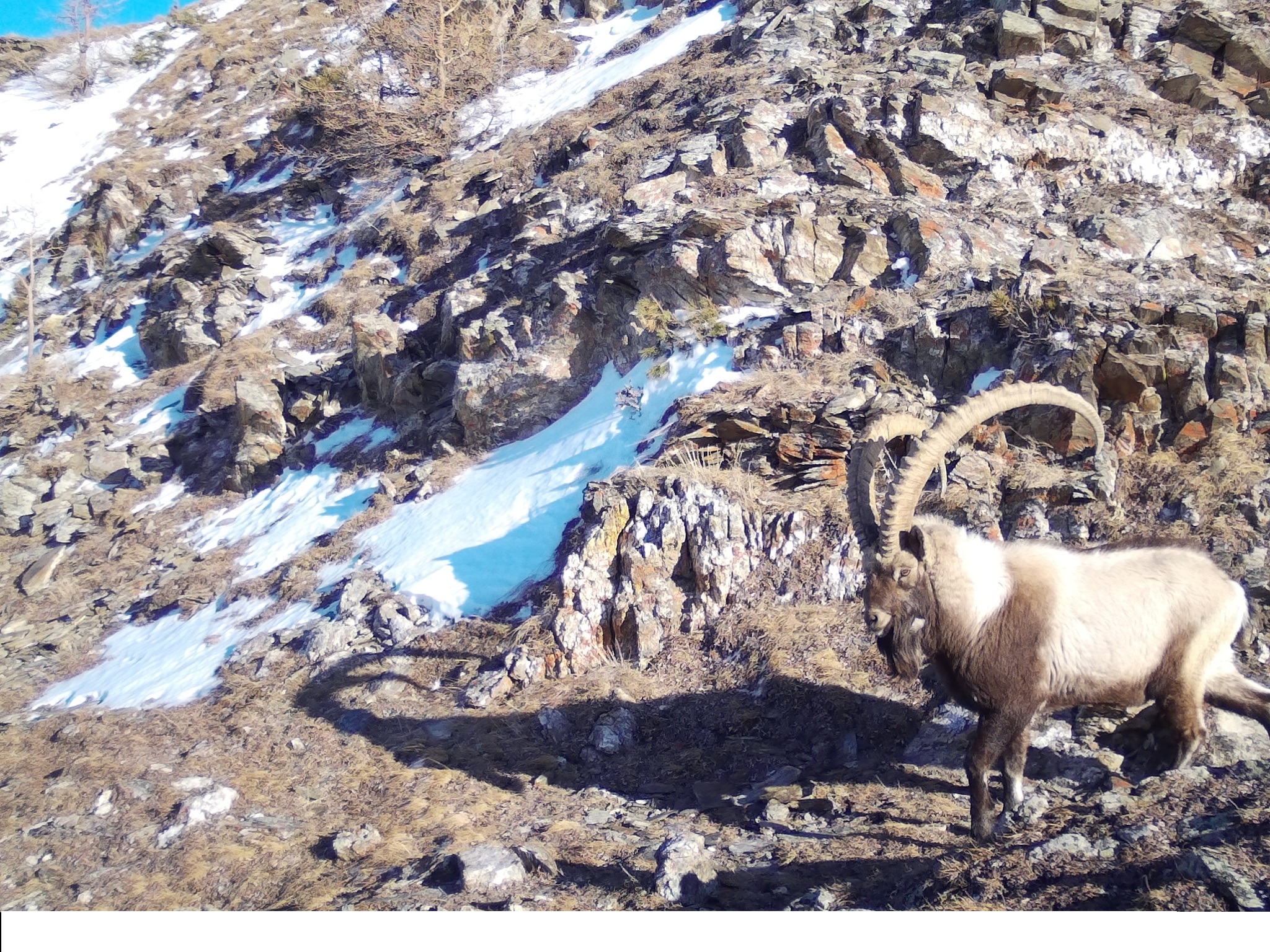 Ań sany azaımaıdy