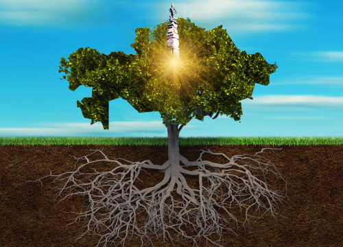 Alash urandy el bolaıyq