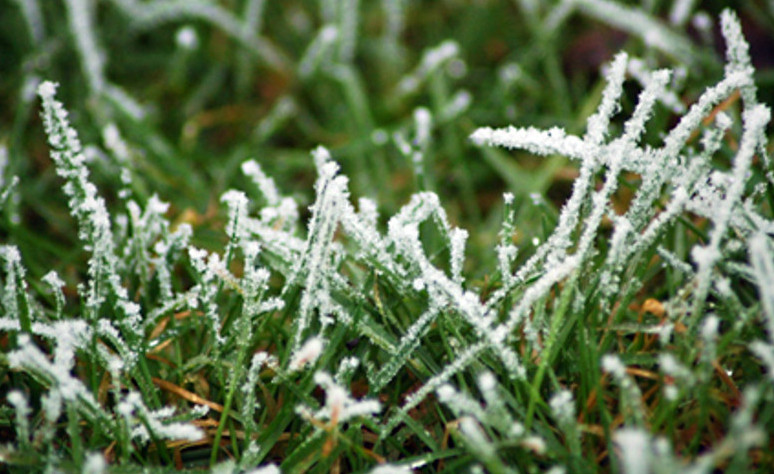 3-4 mamyr kúnderi Elordada úsik bolady